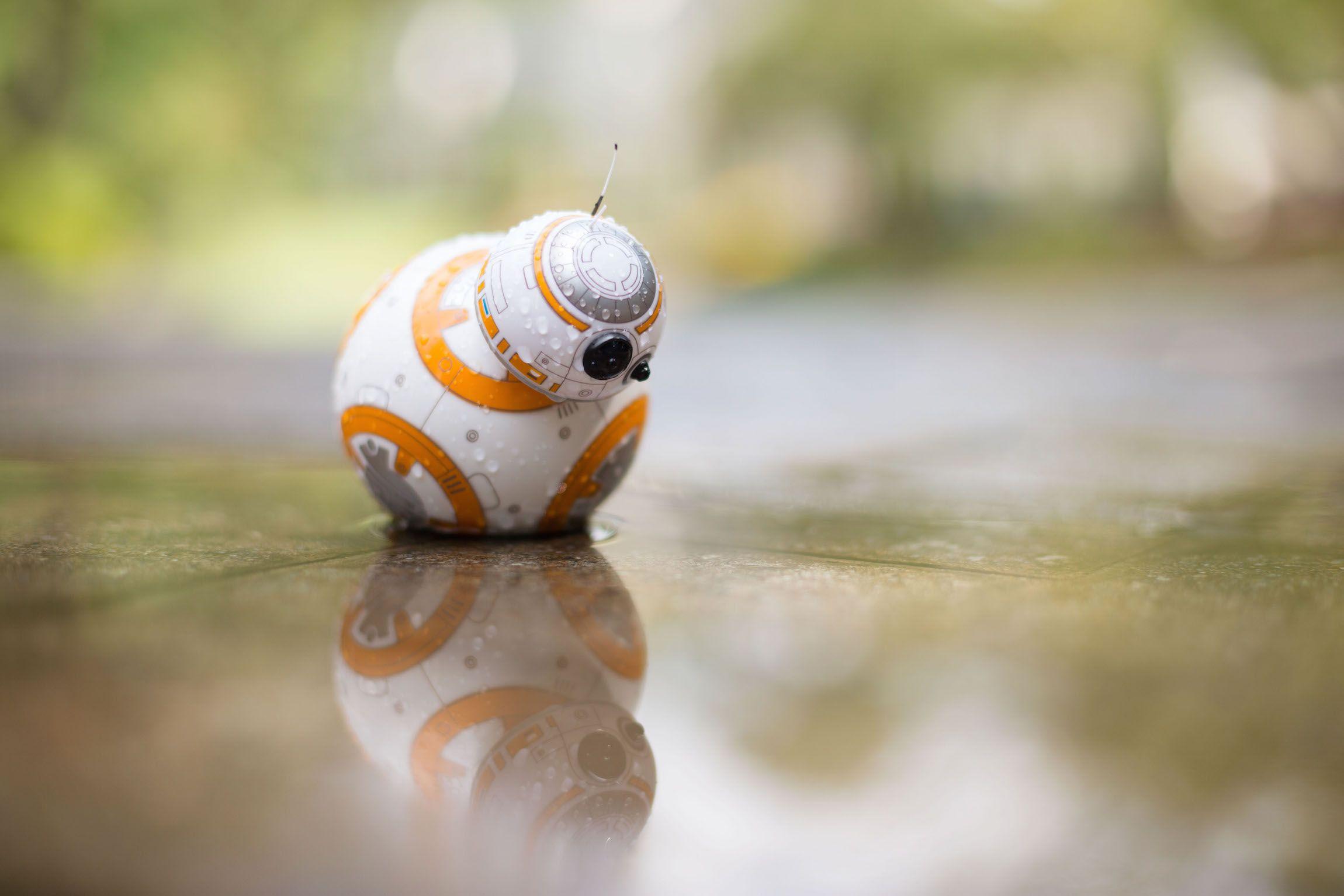 A Day In The Life Of Sphero's BB 8