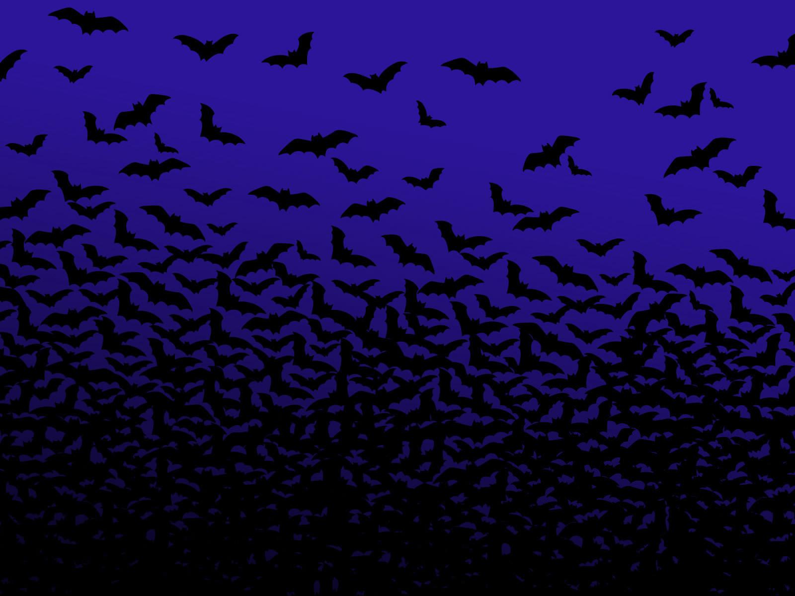 Bat wallpaper HD for desktop background