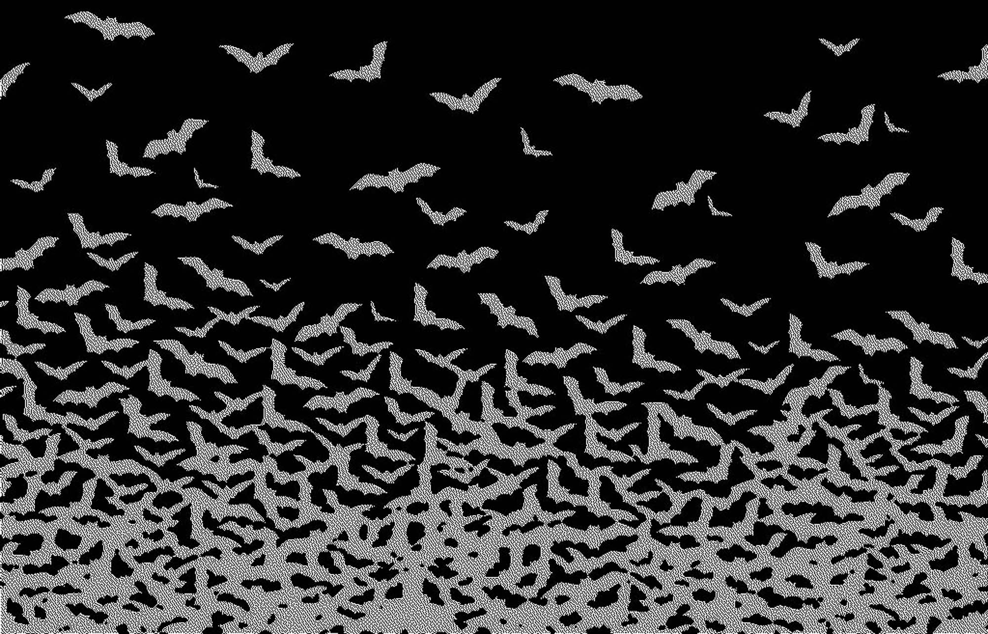 Bats Wallpaper Group (67)