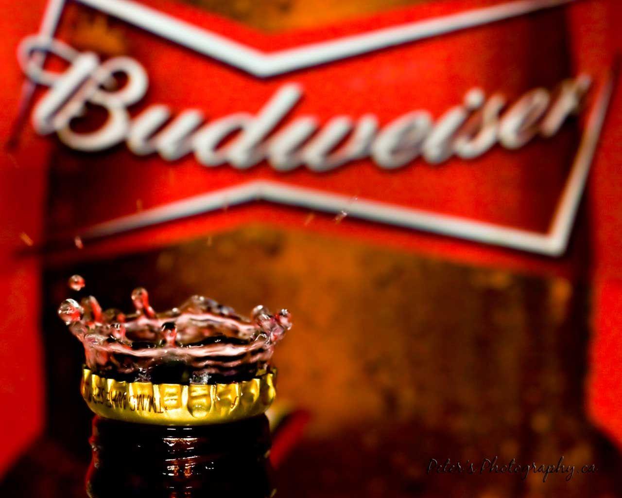 Budweiser Wallpaper /budweiser Wallpaper