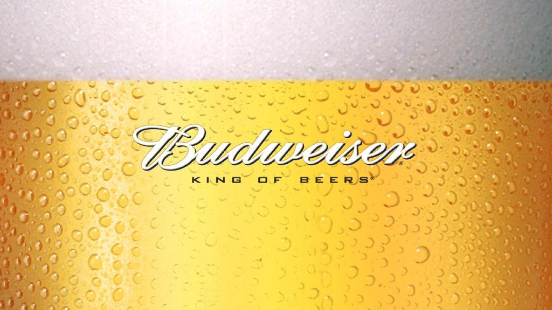 Budweiser Photo for Computer