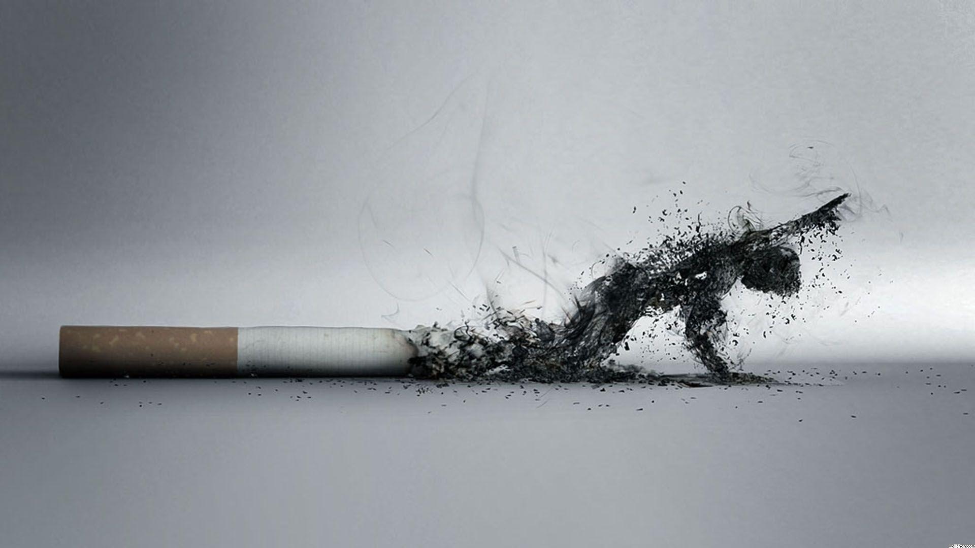 Cigarette Smoke Wallpaper