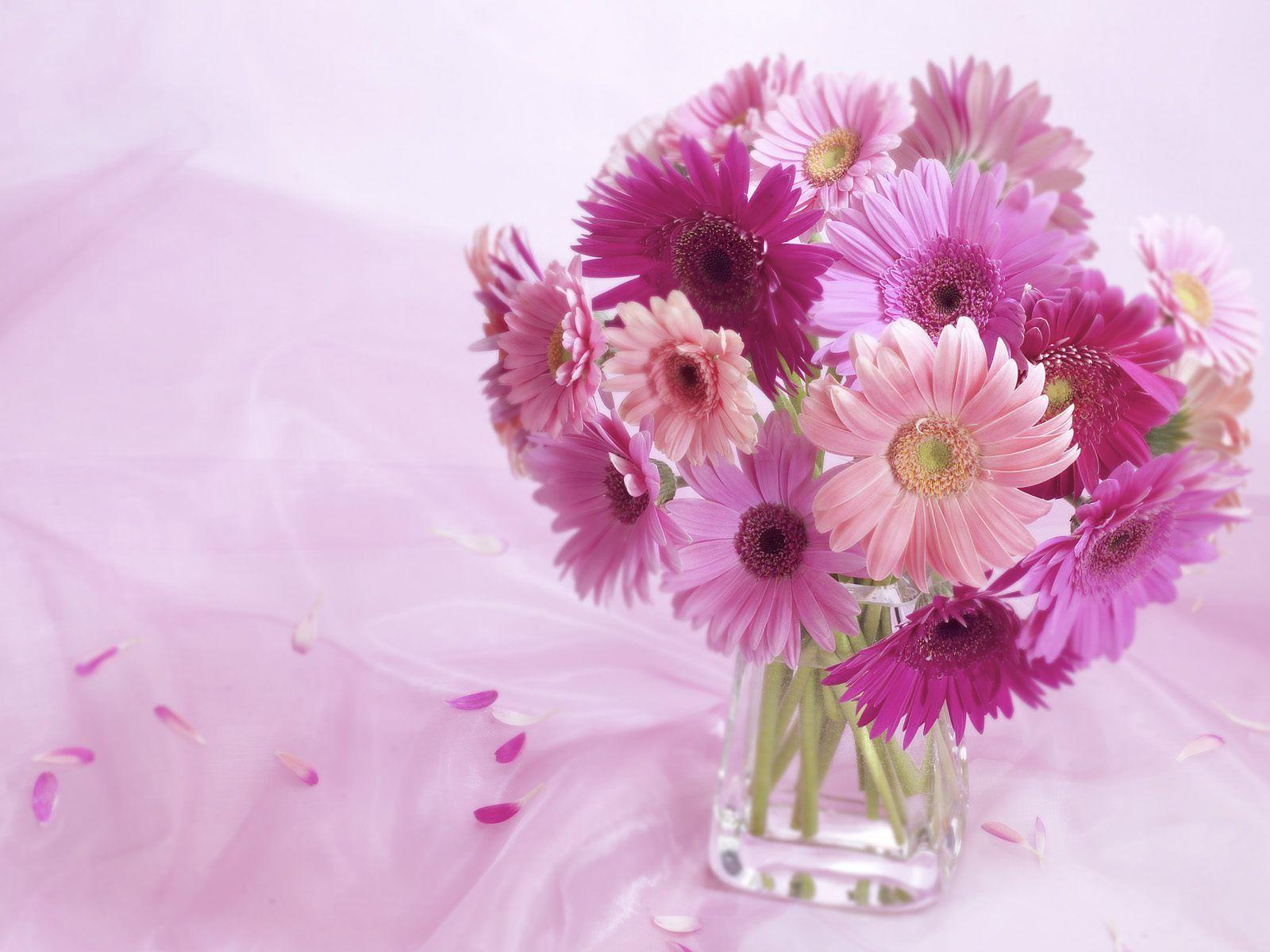 Gerbera Daisy Arrangement Wallpaper