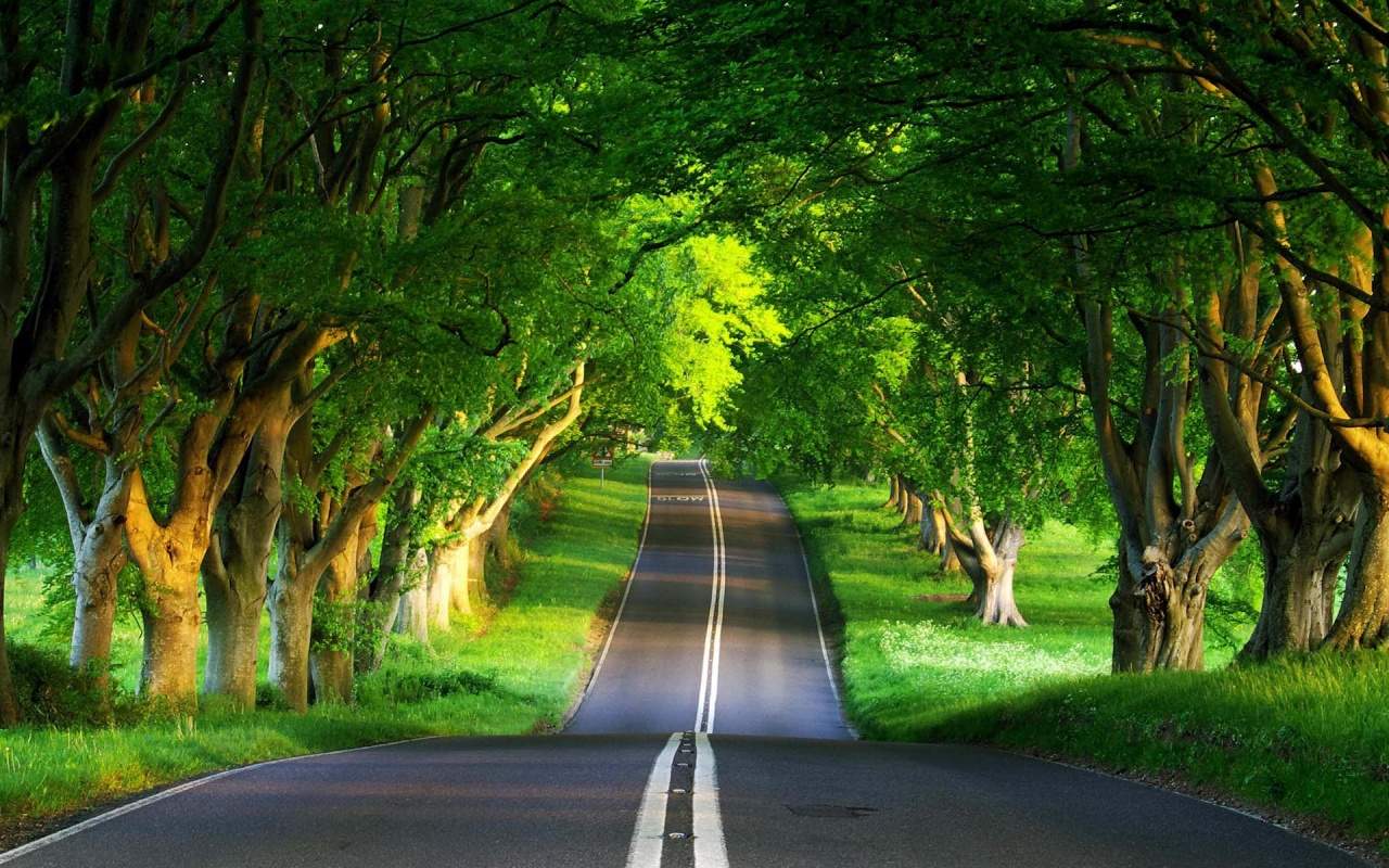 Desktop Background Nature HD Wallpaper Green For Smartphone Full