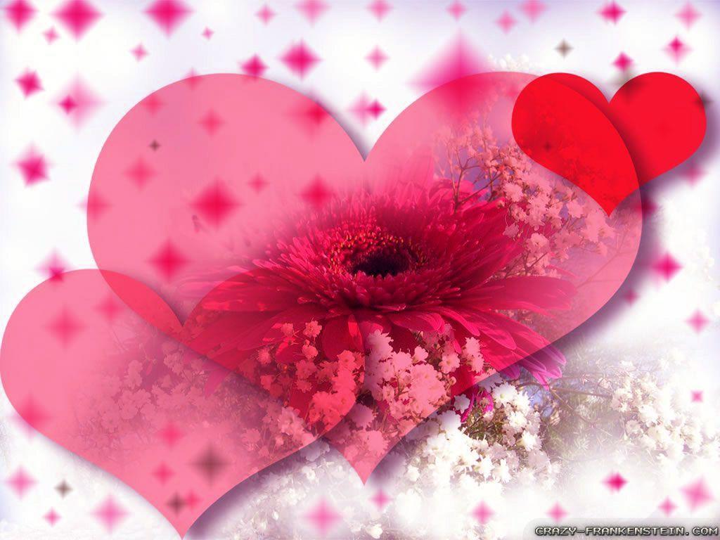 Wallpaper Flower Rose Love 1024×768 Love Flowers Image Wallpaper