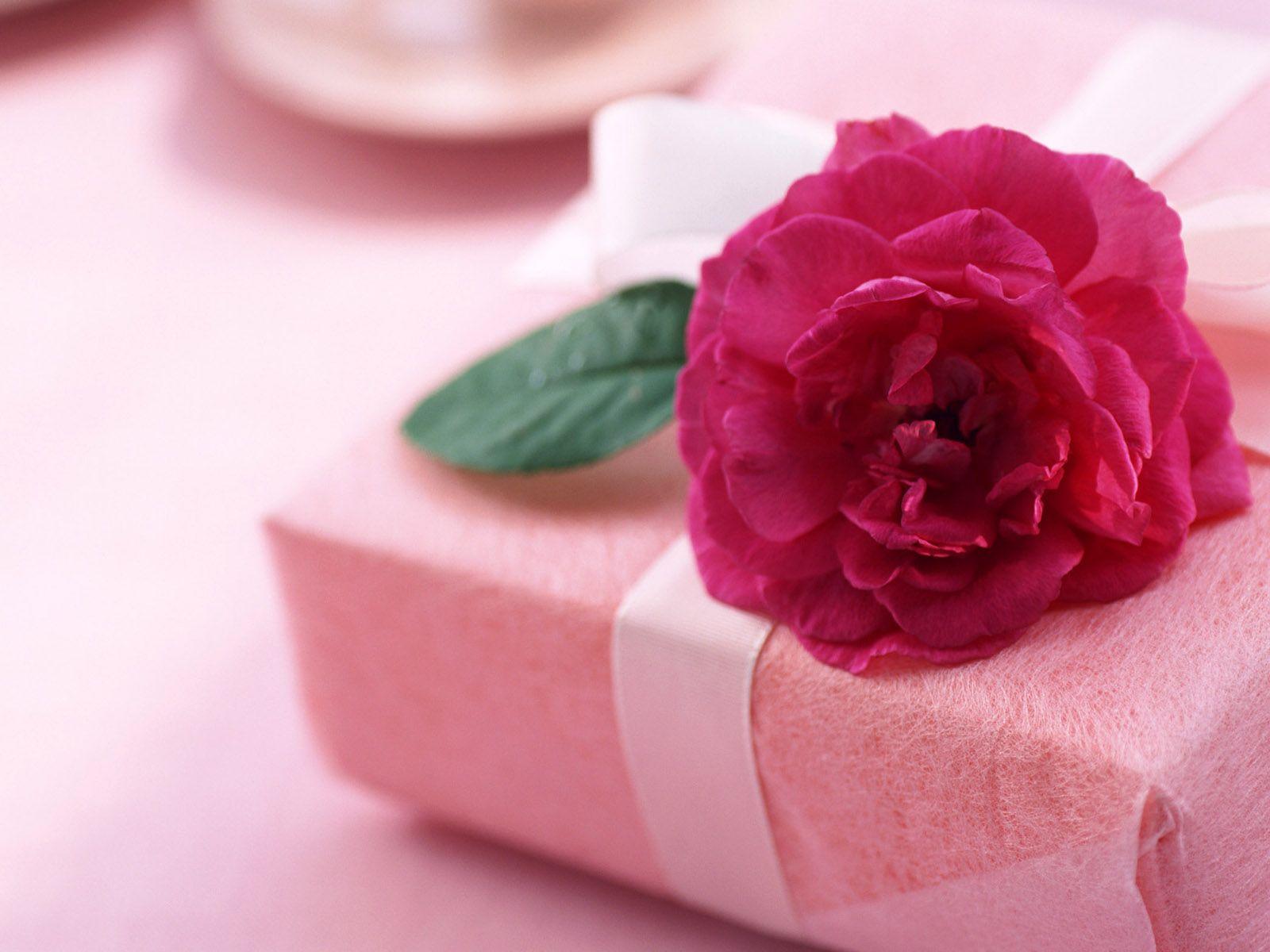 Gift of Love and Pink Flowers Wallpaper. HD Desktop Background