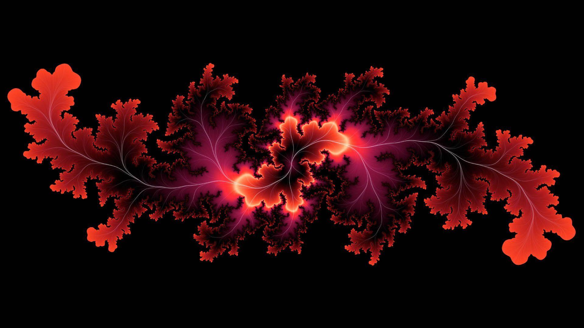 Abstract Flower With Glow Effect Wallpaper. HD 3D and Abstract
