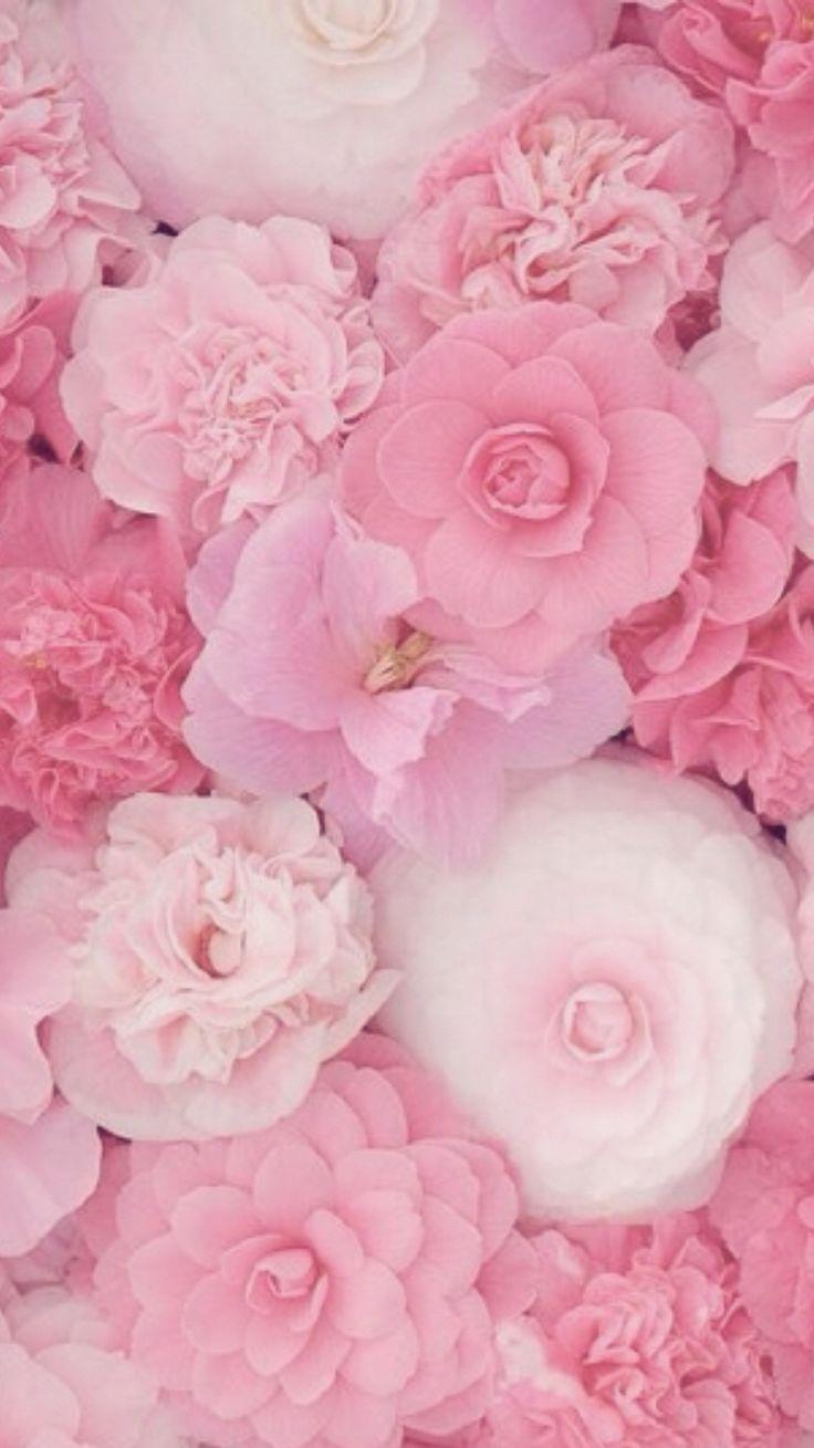 Pink Wallpaper For iPhone