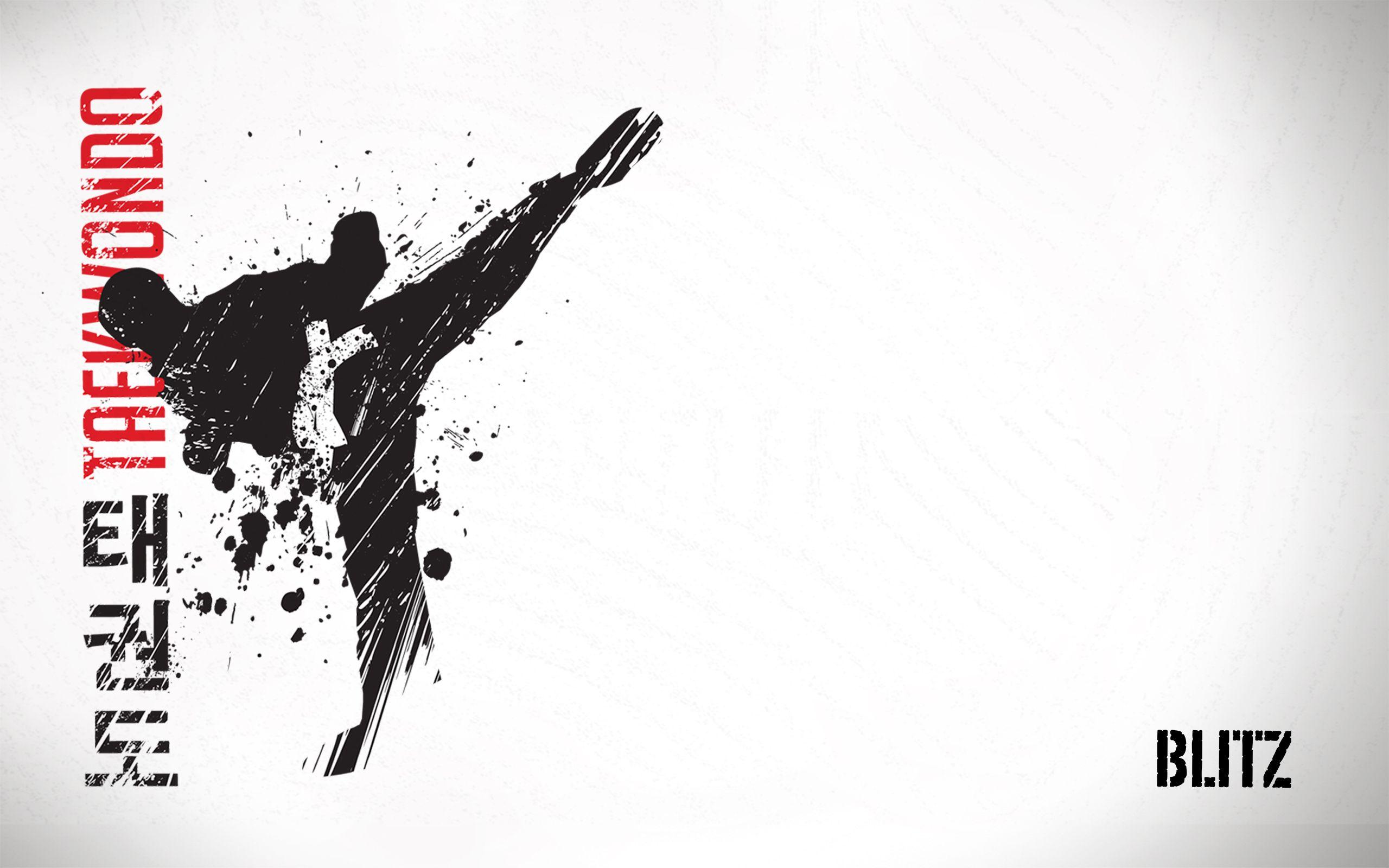 Blitz Taekwondo Wallpaper (2560 x 1600). Martial Arts Wallpaper
