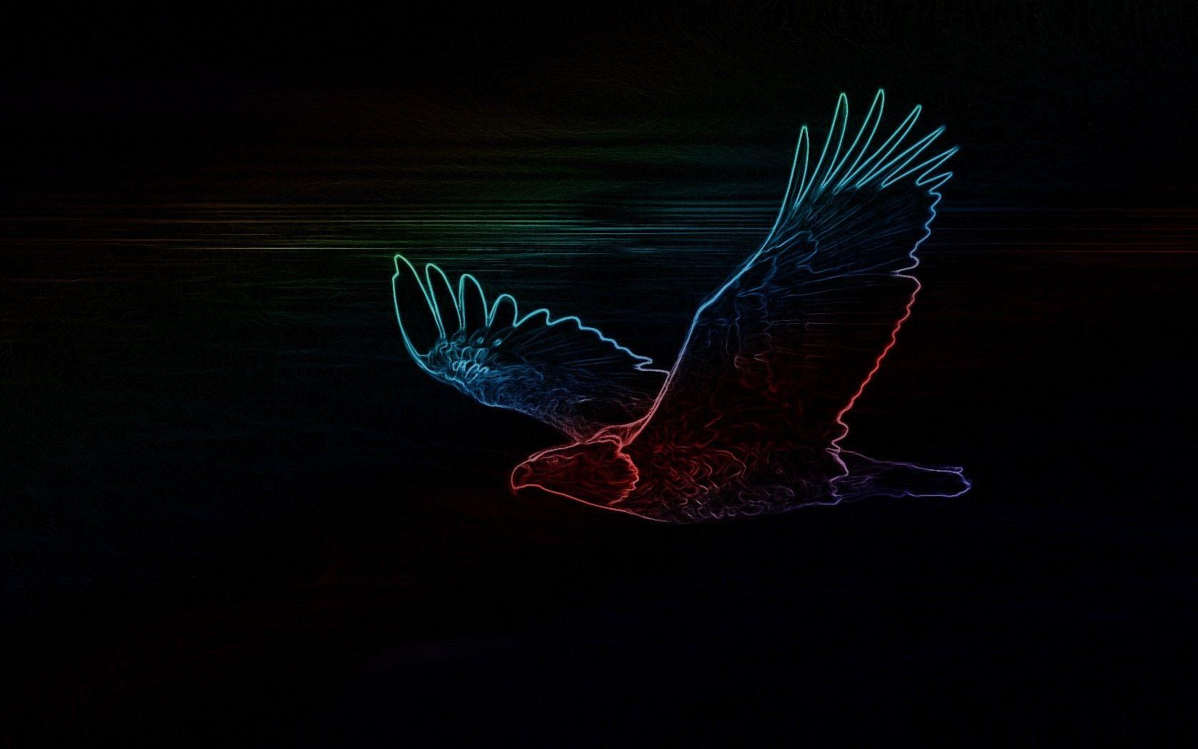 neon eagle black Wallpaper HD / Desktop and Mobile Background