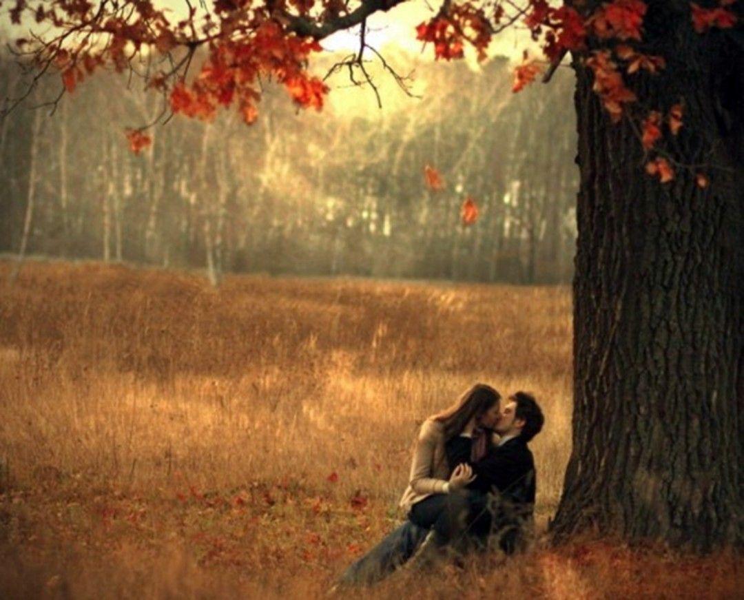 Romantic Love Couple in Rain Image, HD Wallpaper & Picture