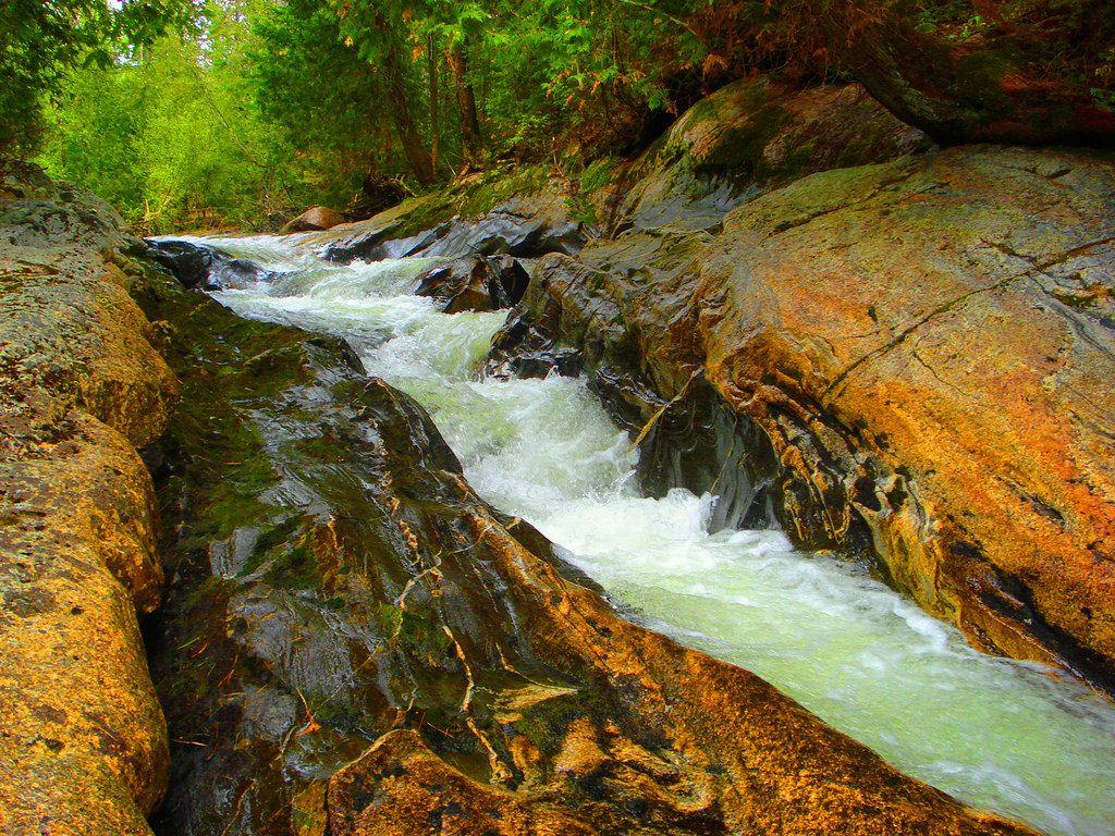 Speckled Trout Creek Falls. This Is A Close Up Of The Water