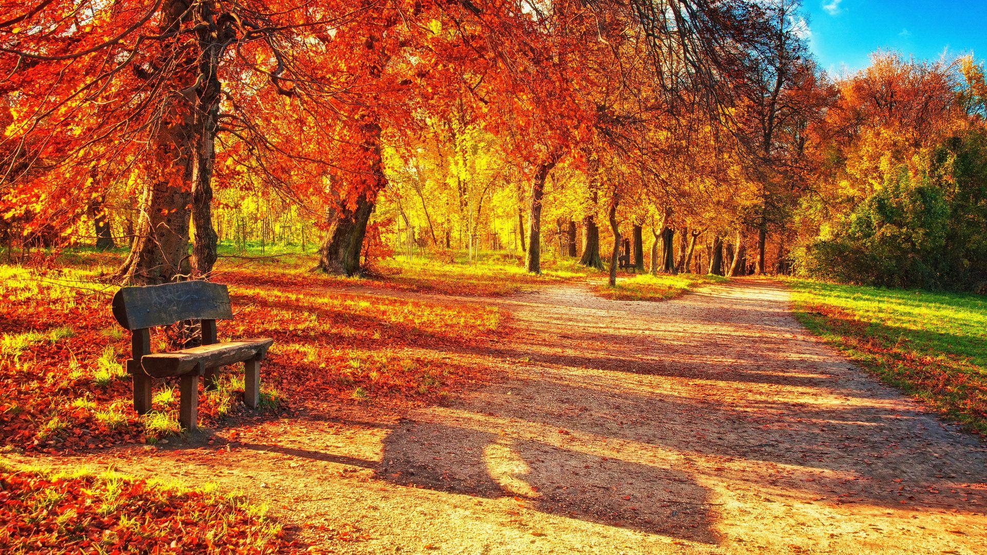 Fall Wallpaper, Background, Image, Picture. Design