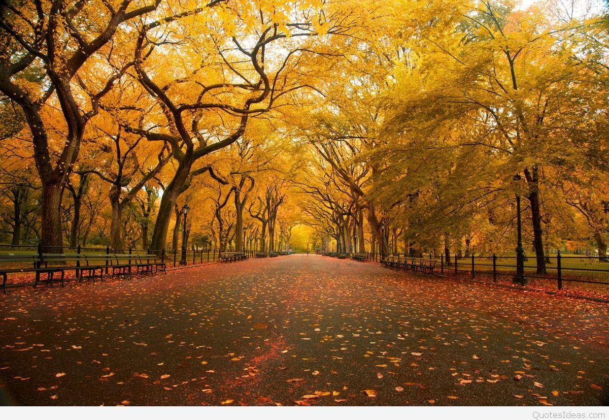 Autumn quotes, hello autumn quotes, sayings, wallpaper