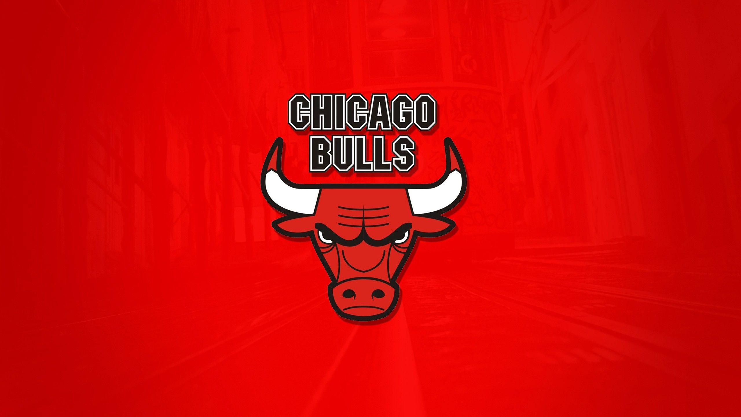 The Chicago Bulls Wallpaper