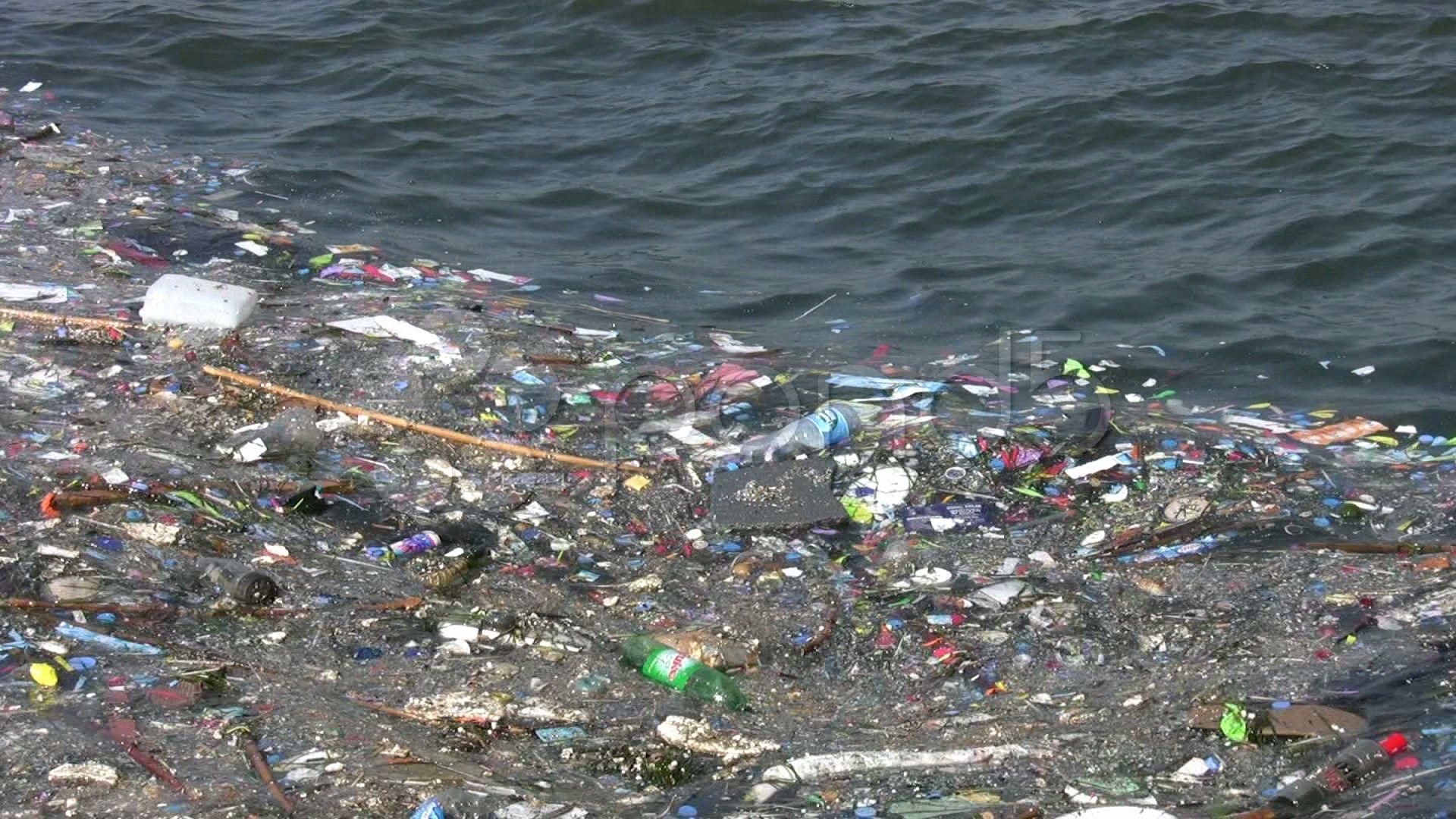 Water Pollution Full HD 1080p ~ Stock Footage
