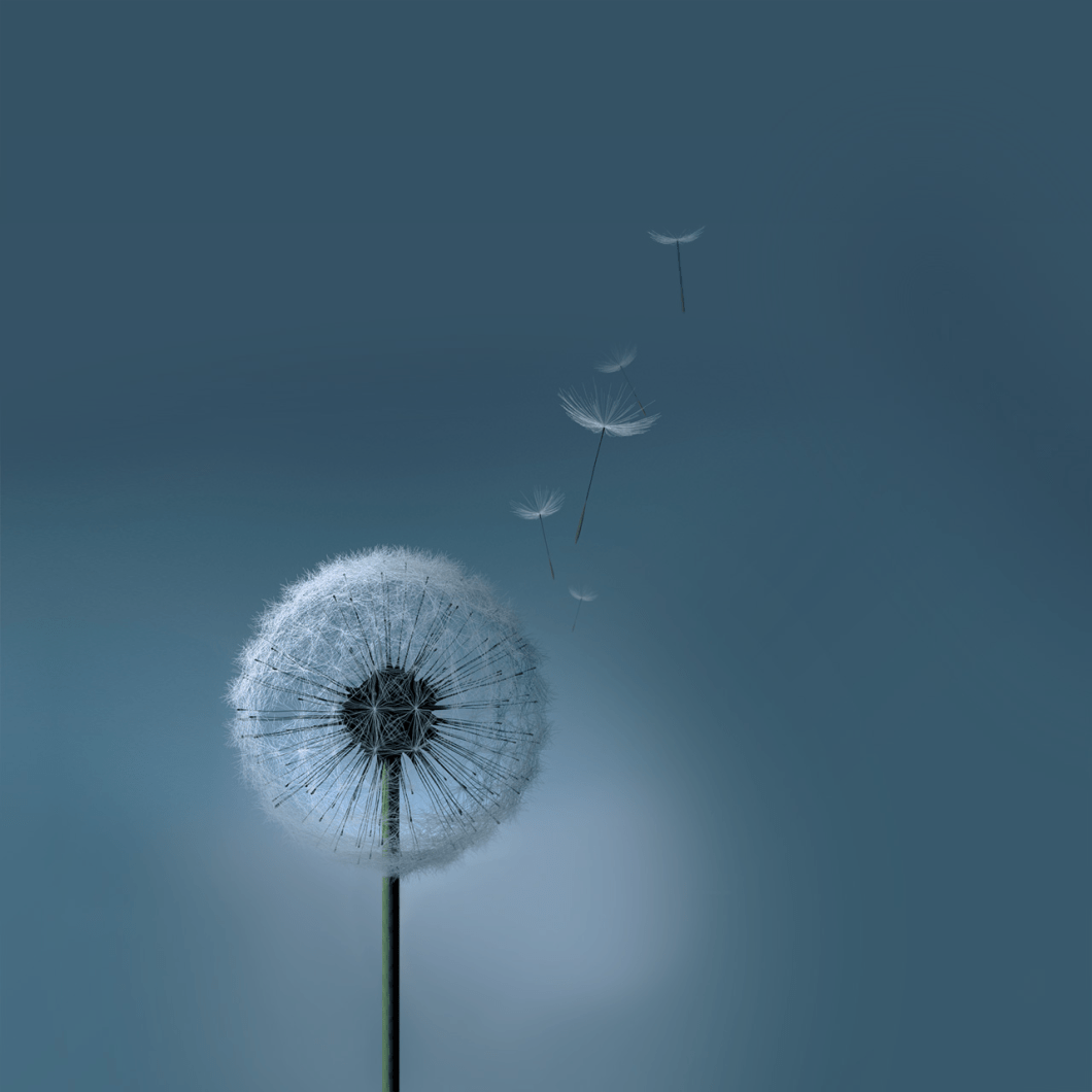 Samsung Galaxy S3 Wallpaper