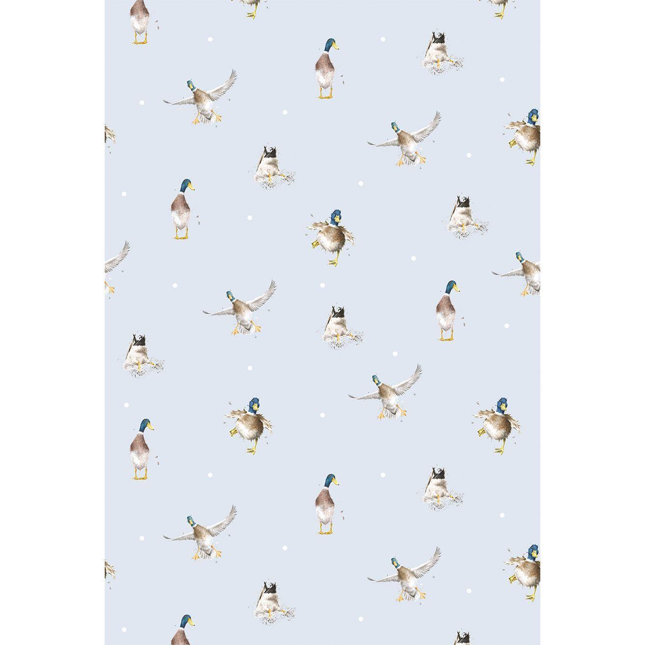Duck Wallpaper. Wrendale Designs