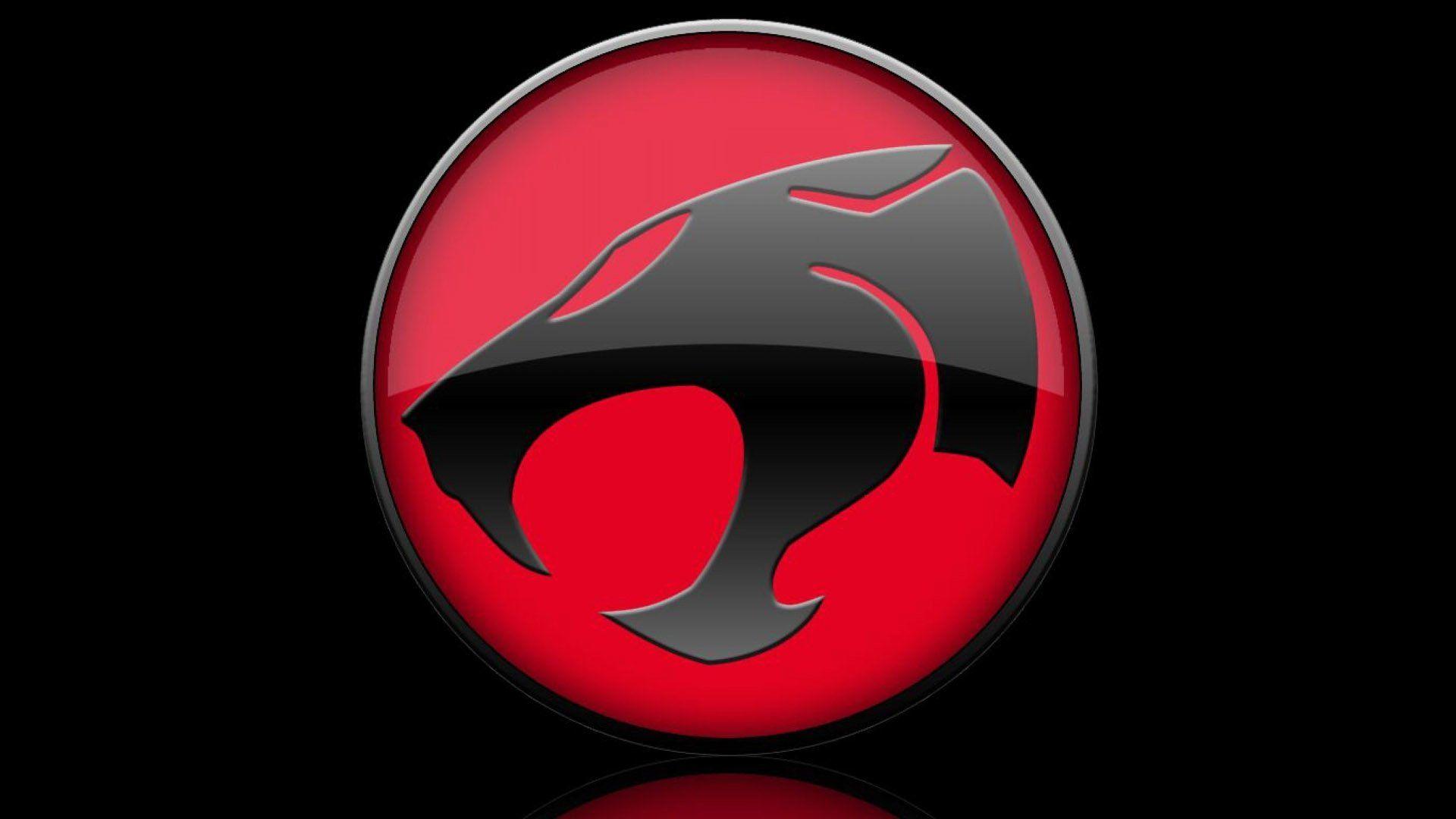 Thundercats Full HD Wallpaper and Background Imagex1080