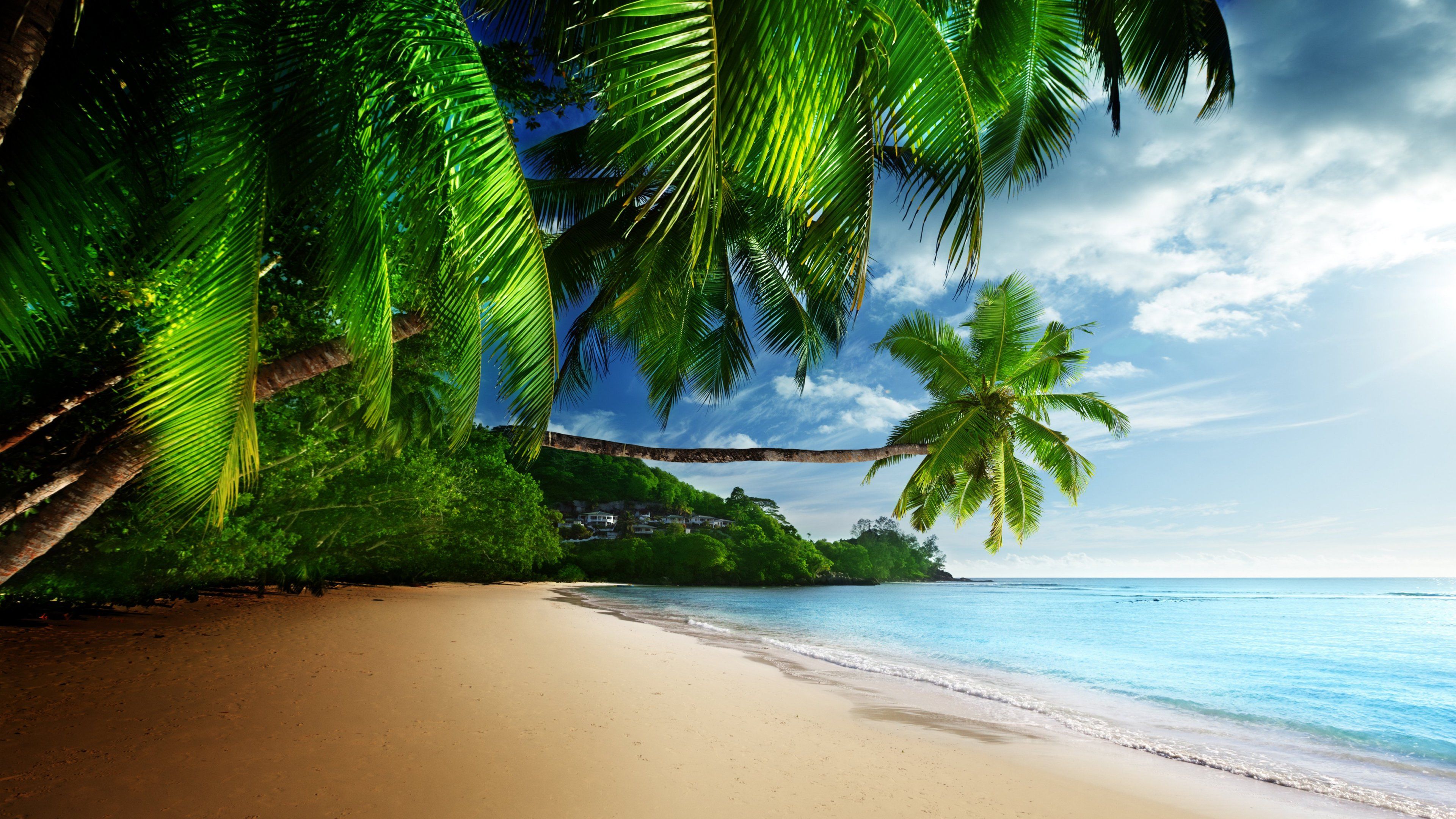 Tropical Beach Paradise 4K Ultra HD Desktop Wallpapers