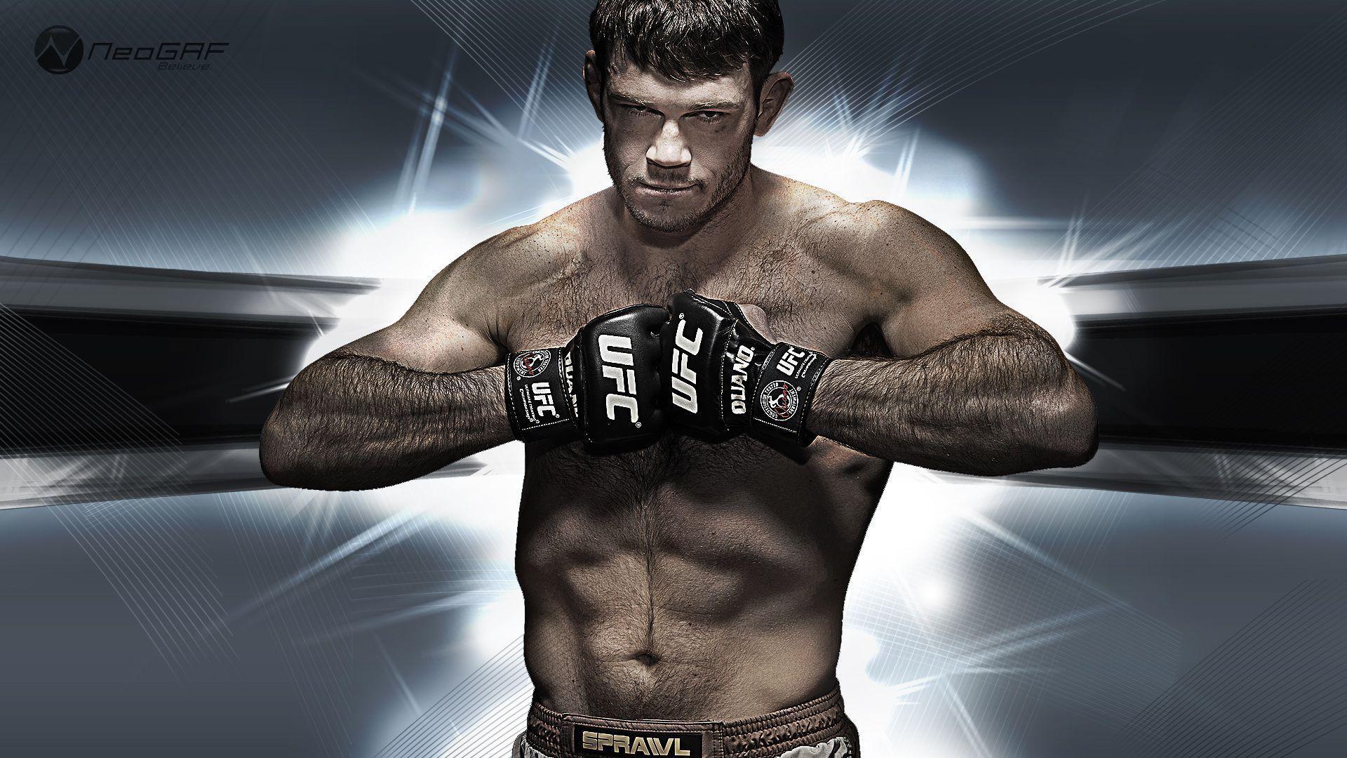 Download UFC Fighting Wallpaper HD 2014