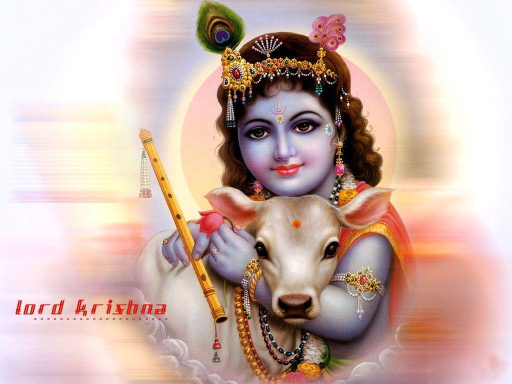 Lord Krishna HD Wallpaper. Hindu God HD Wallpaper