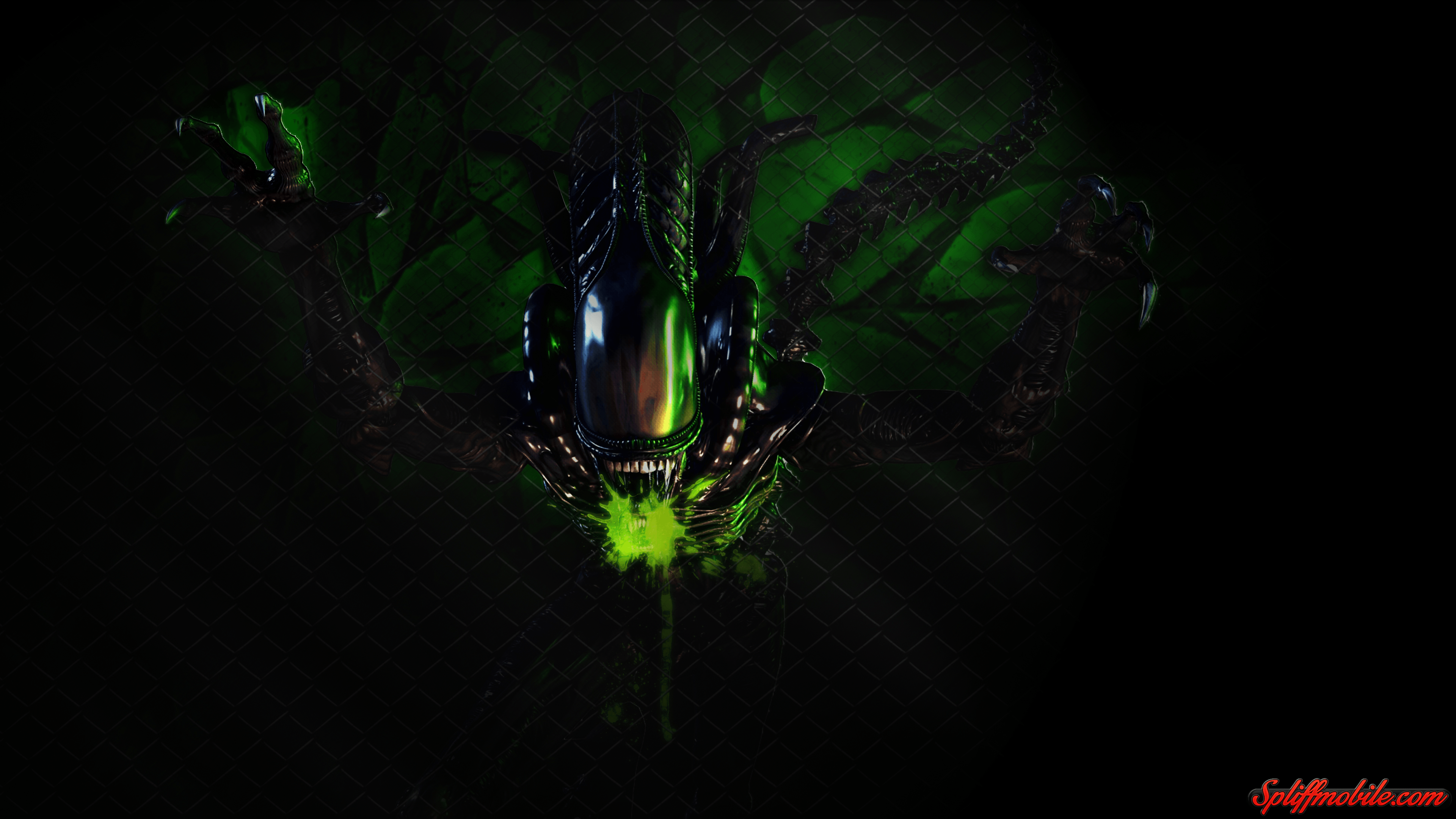 Alien Wallpaper