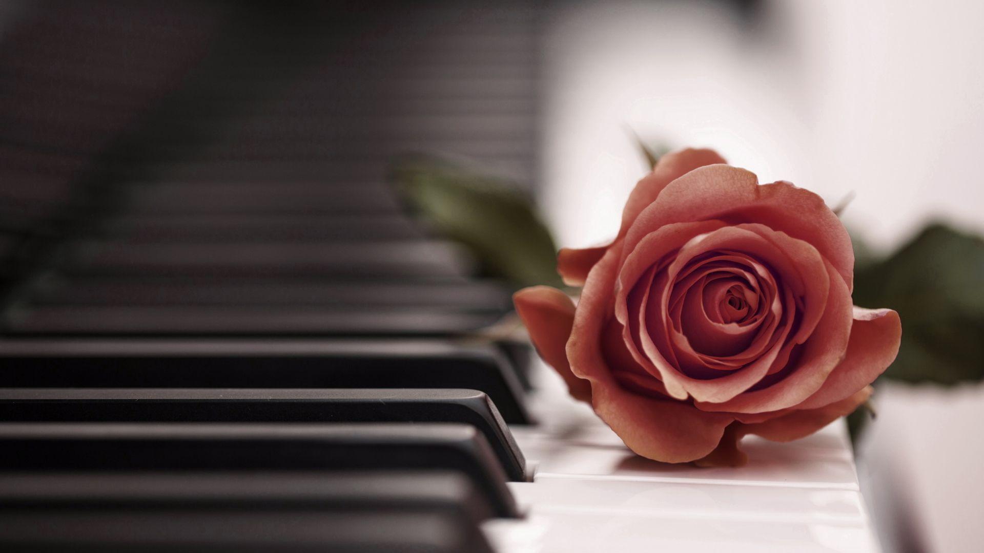 Piano Wallpaper HD