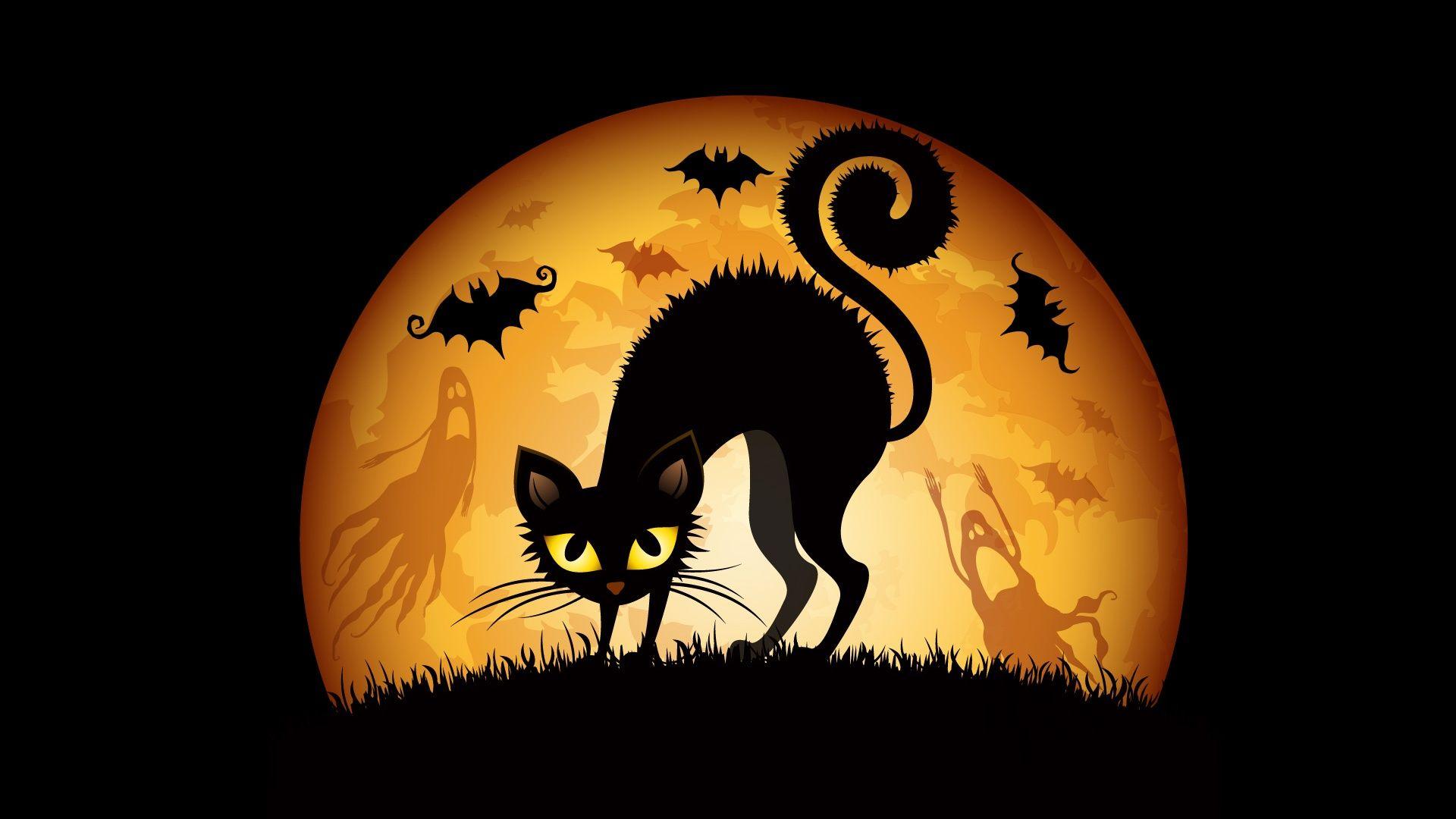 Halloween Cats Bats Wallpaper