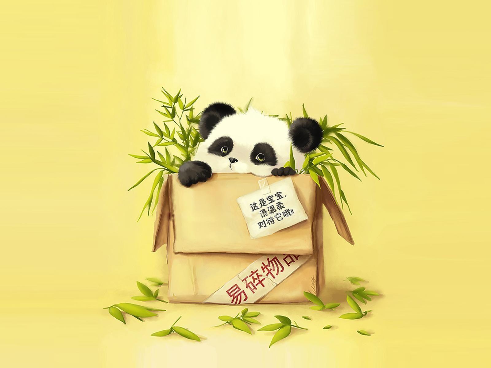 Panda in a box <3. Damn panda!. Panda and Bear wallpaper