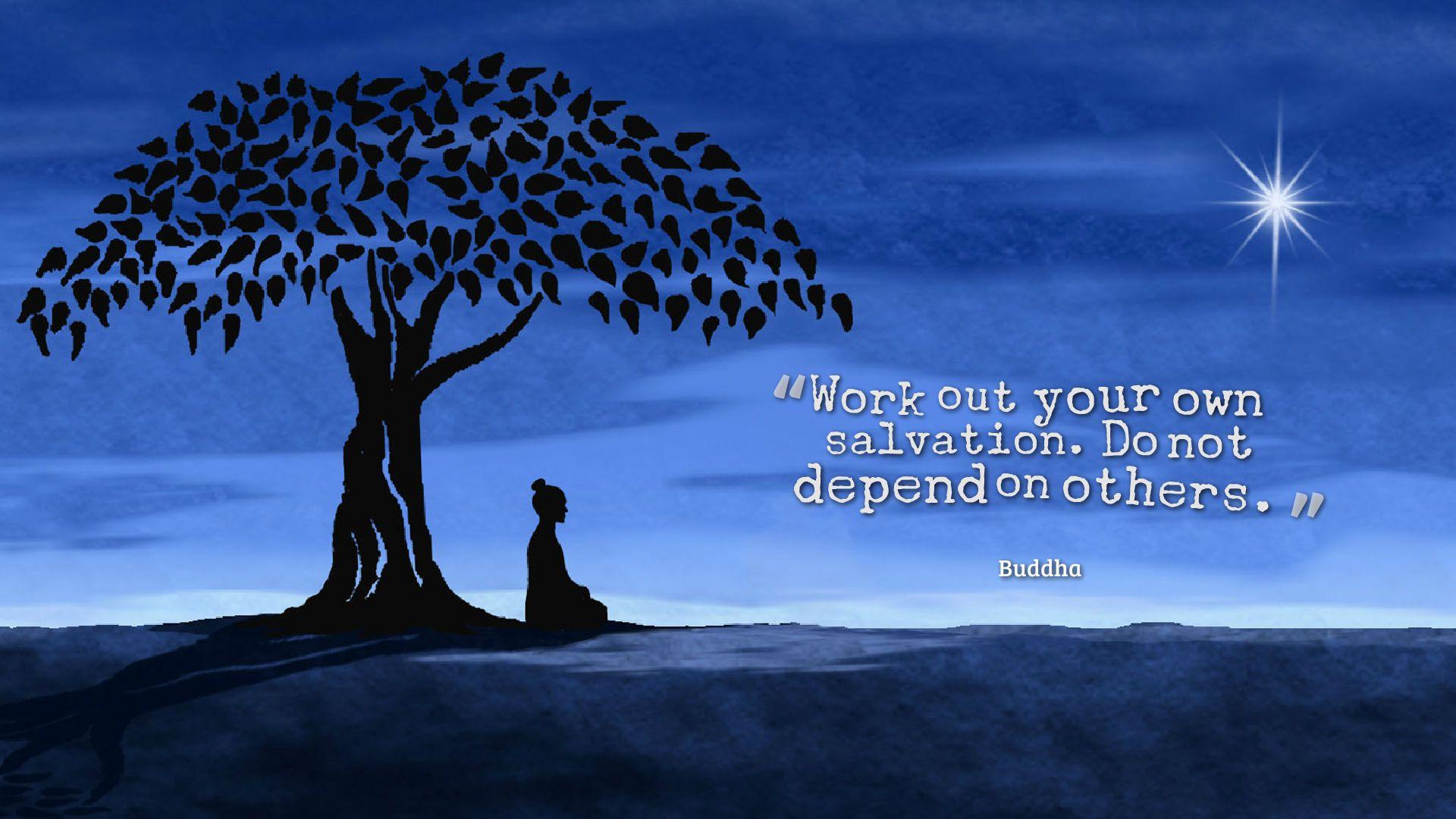 Buddha Quotes High Definition Wallpaper 13908