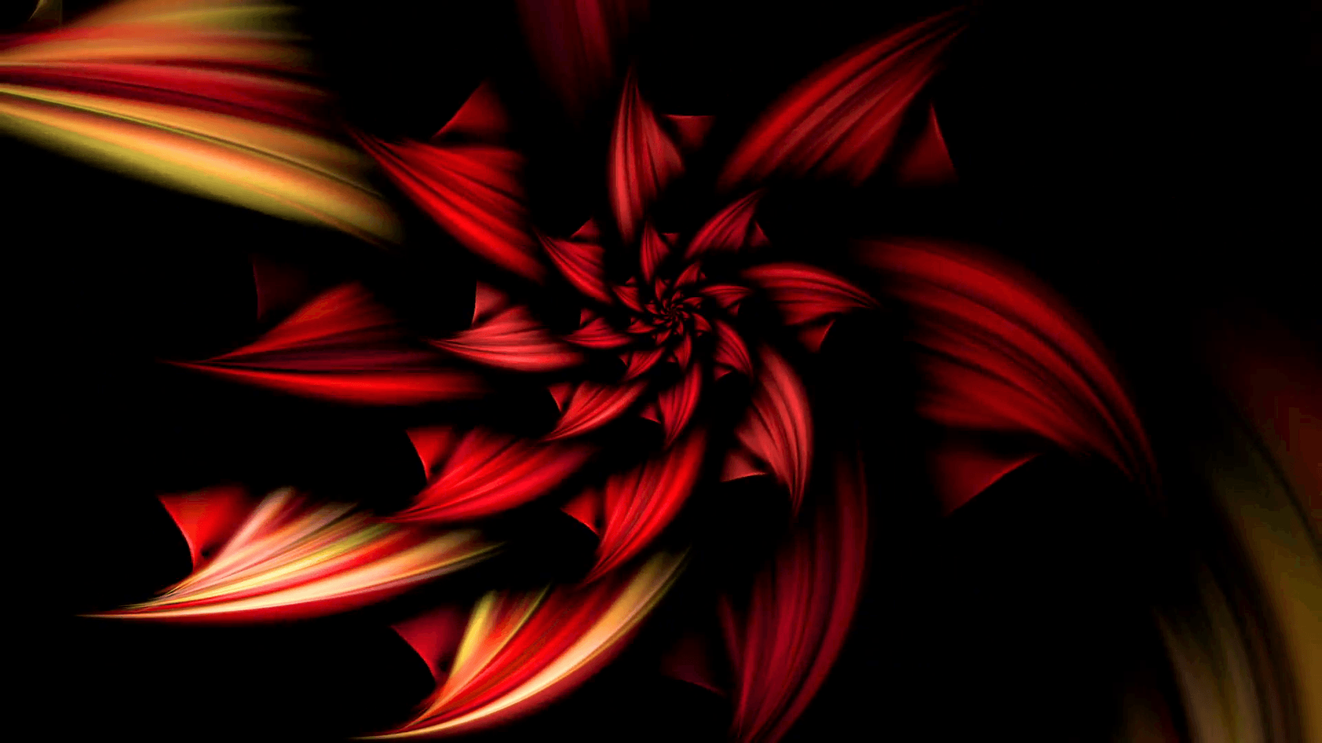 Fiery Flower fiery flower on black background, animated