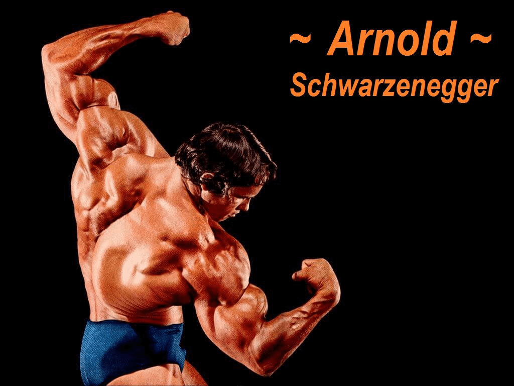 Arnold Schwarzenegger Mr Olympia Massive Body Builder Wallpaper