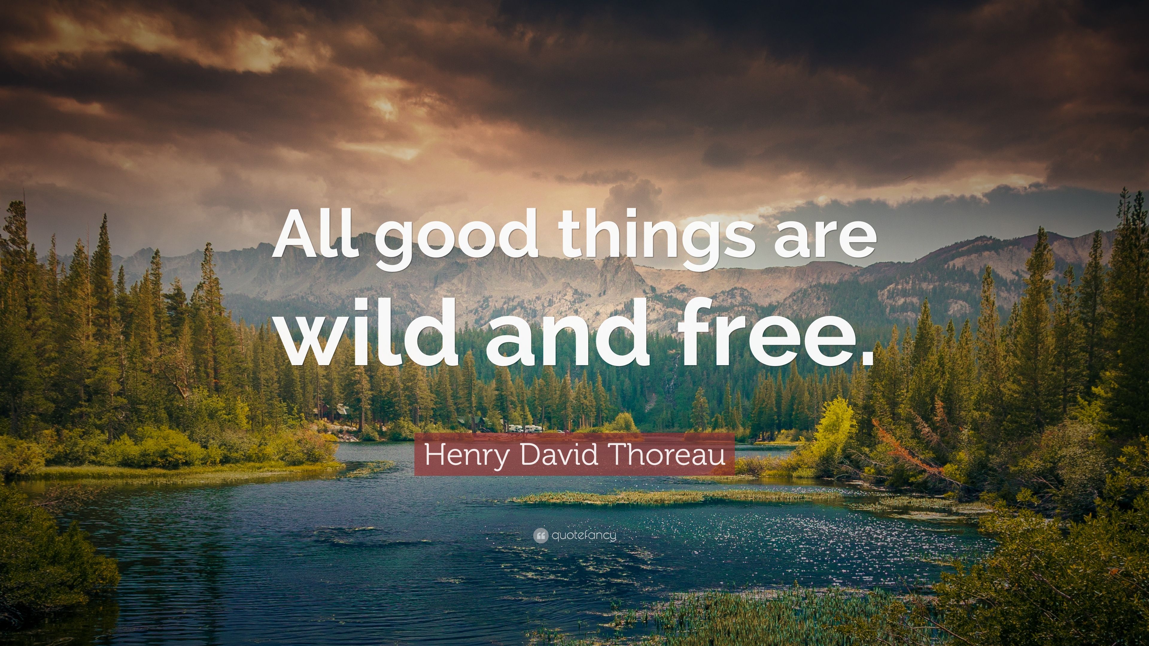 Nature Quotes Edition