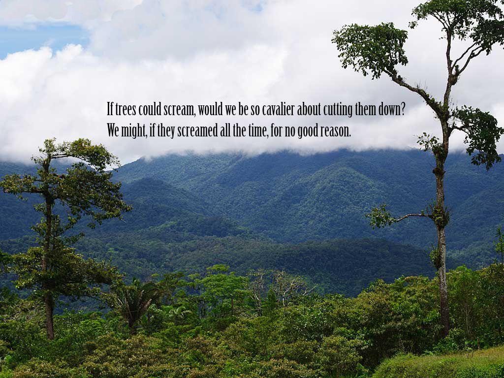 Nature Wallpaper with Quotes