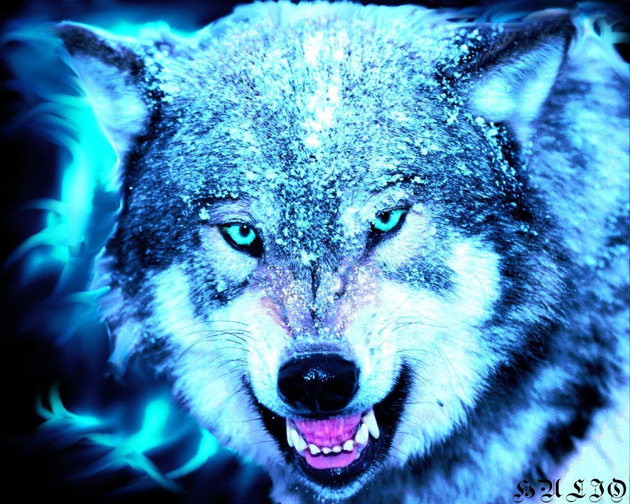 wolf wall paper