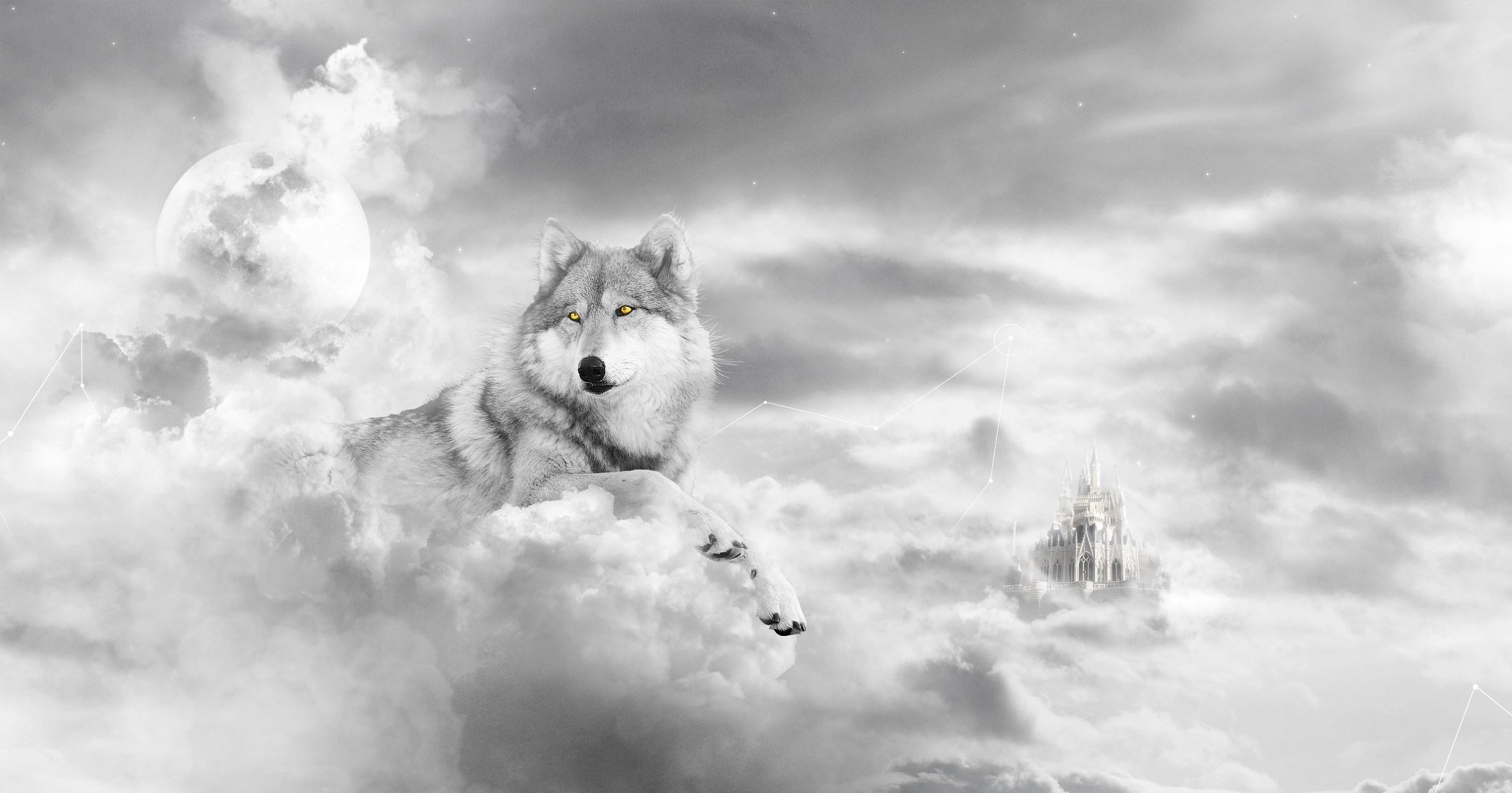 cool wolf in the clouds wallpaper