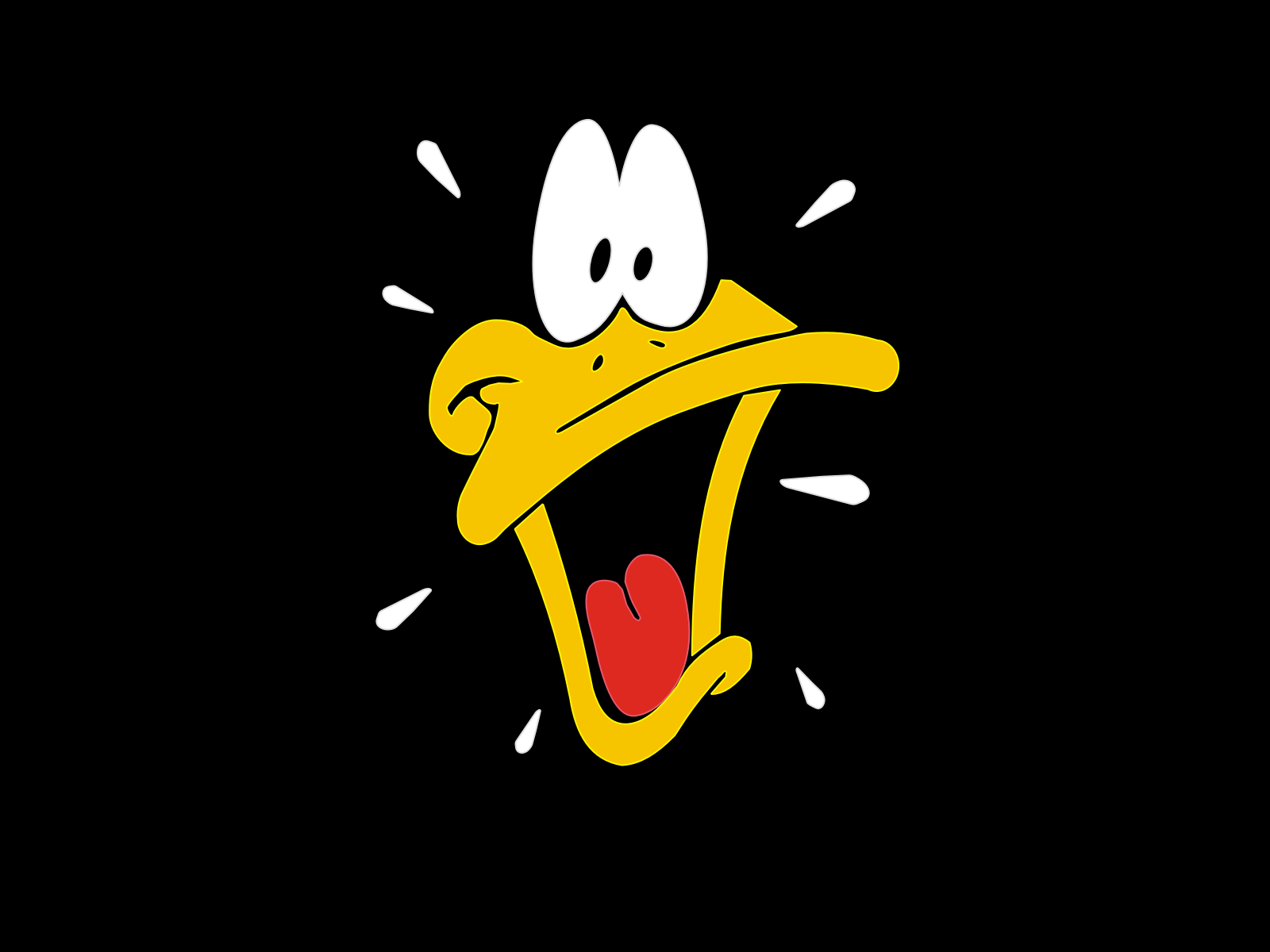cartoon duck. Daffy duck