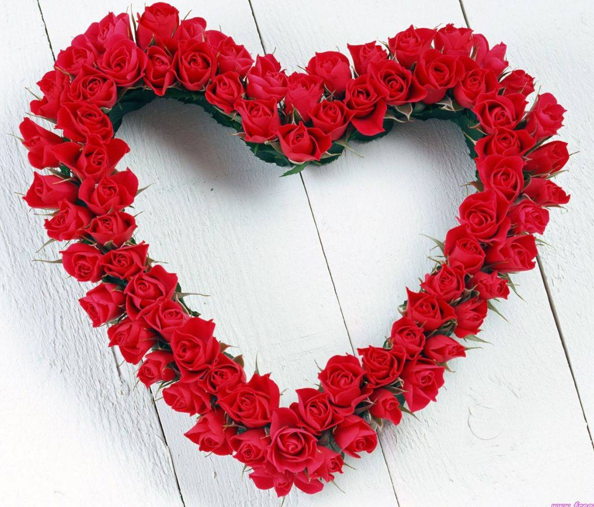 Heart Rose wallpaper