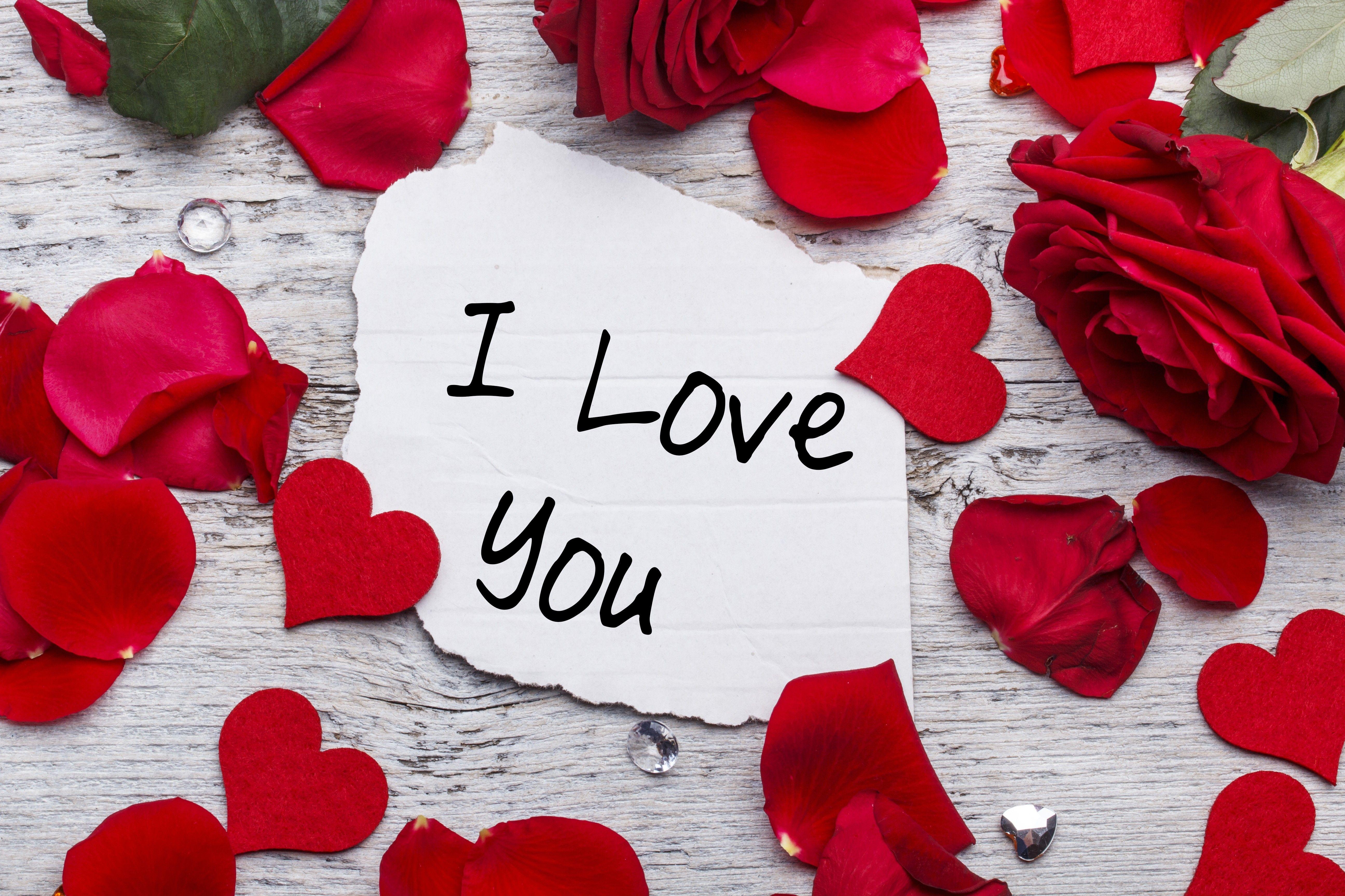 Wallpaper love image, heart, rose, flowers, 4k, Stock Image