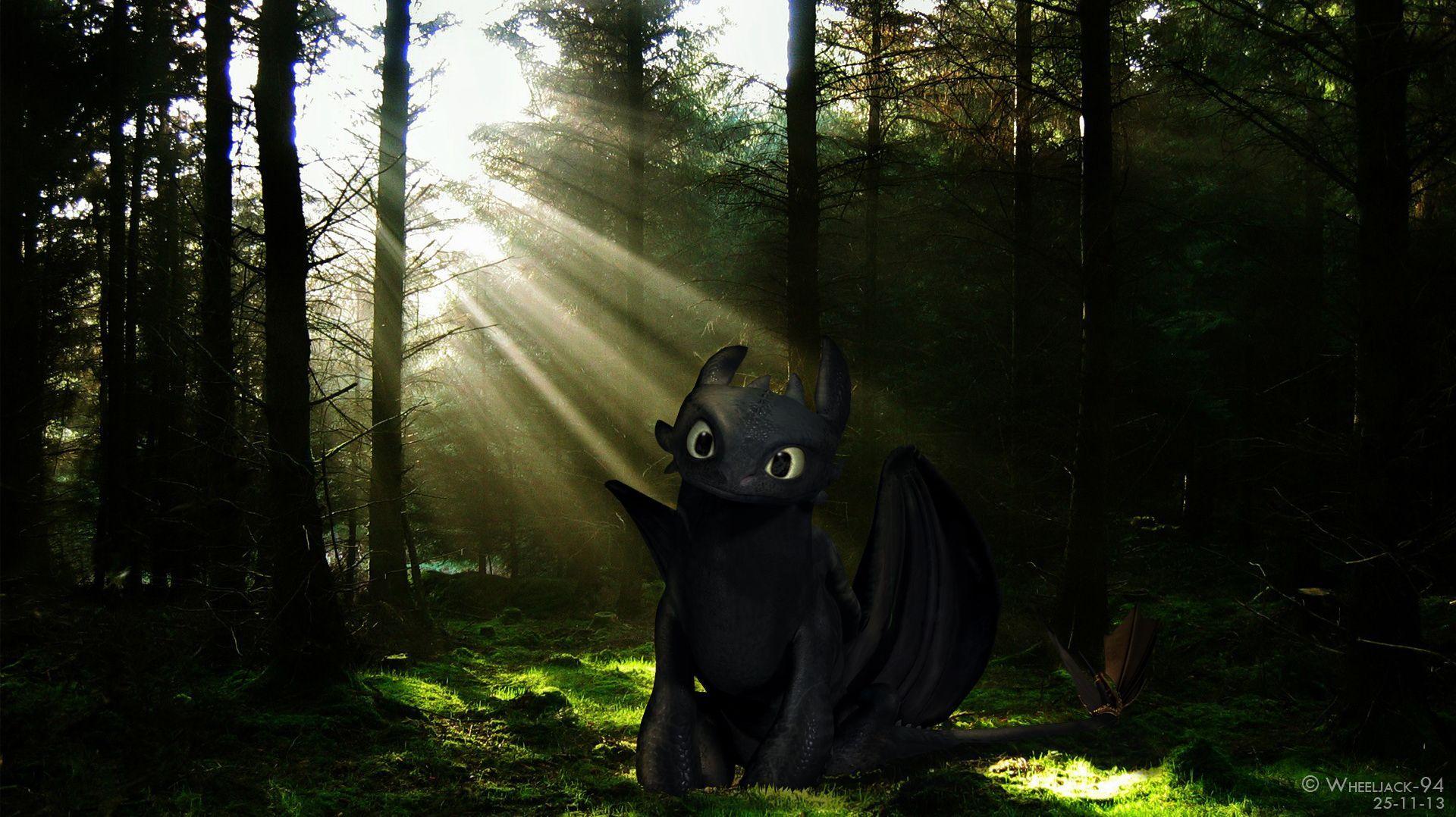 Picture Of Toothless Wallpaper Best Cool Wallpaper HD Download 800