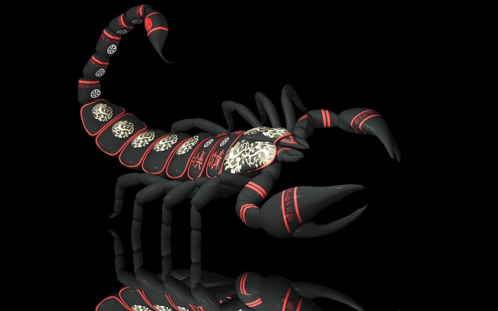 Scorpion HD Wallpaper