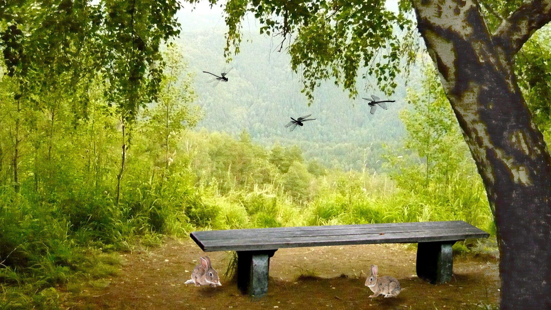 Пейзаж со скамейкой