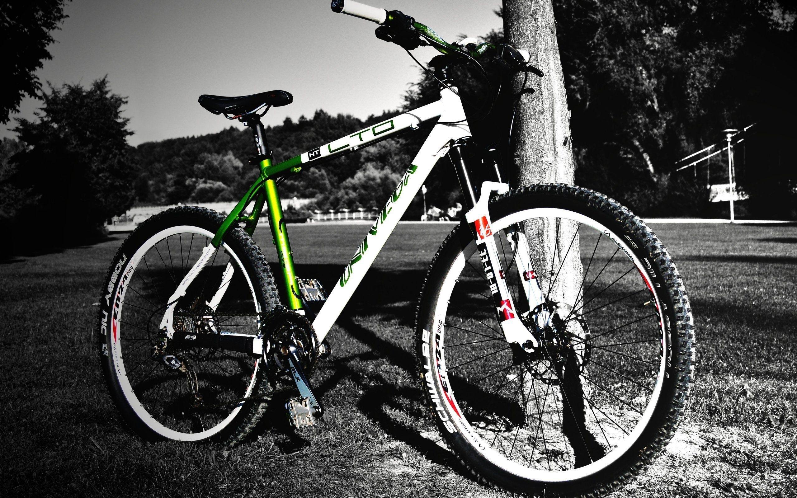 Bicycle Full HD Wallpaper and Background Imagex1600