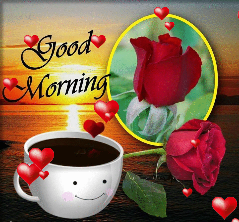 Cute Good Morning Gif Picture, Photo, and Image for Facebook