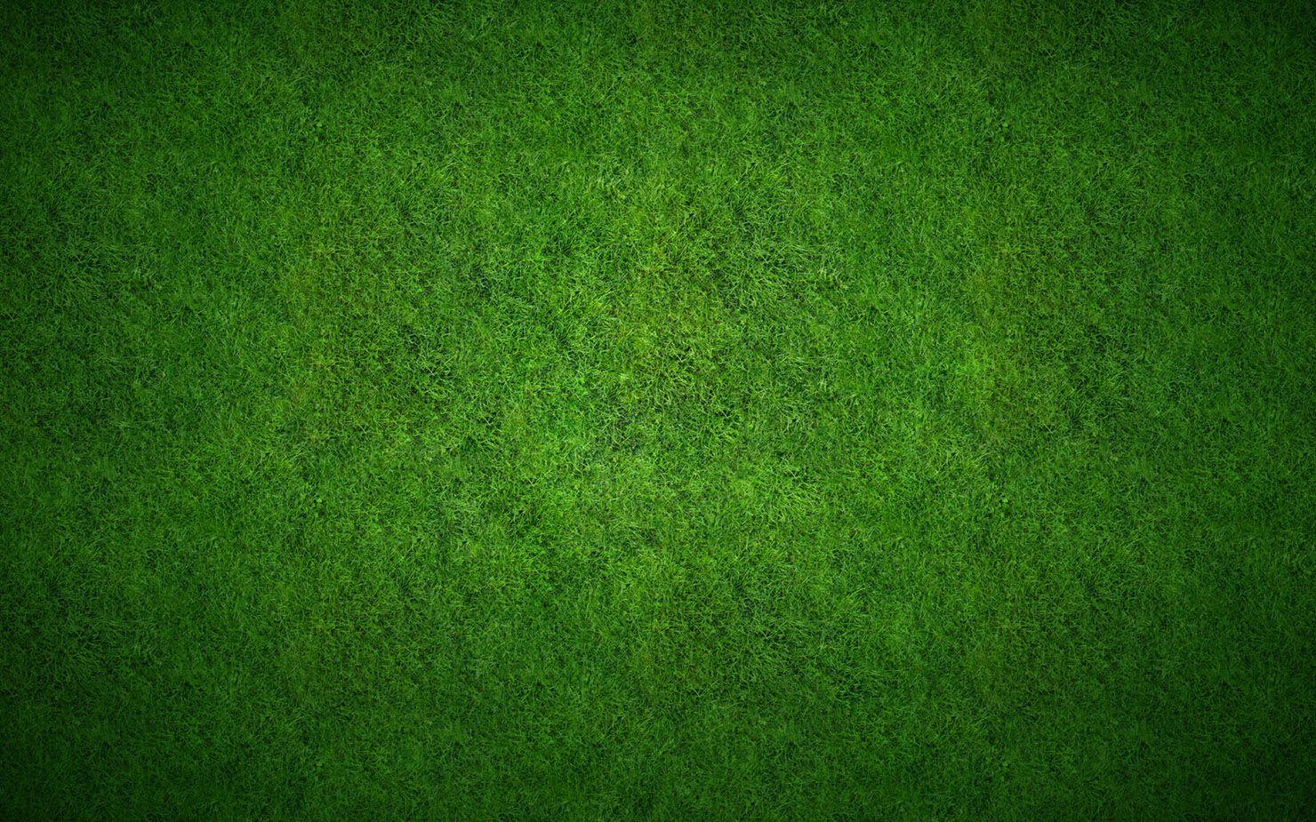 Grass lawn picture 23108 landscape scenery
