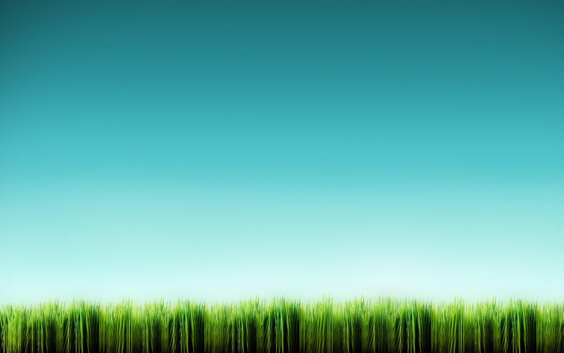 Download Grass Wallpaper HD Wallpaper