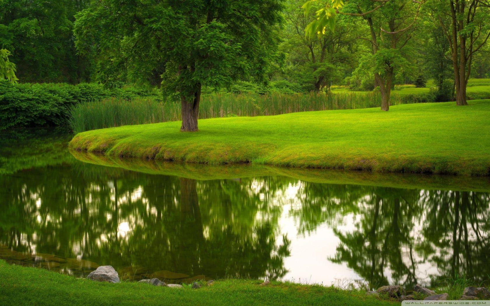 Nature, River, Park, Lawn Grass ❤ 4K HD Desktop Wallpaper for 4K
