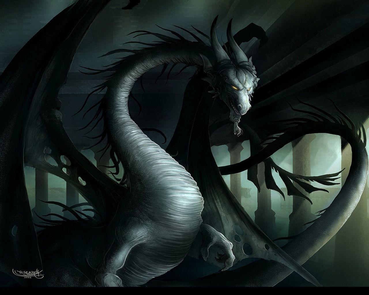 Black Dragon with Yellow eyes wallpaper from Dragons wallpaper