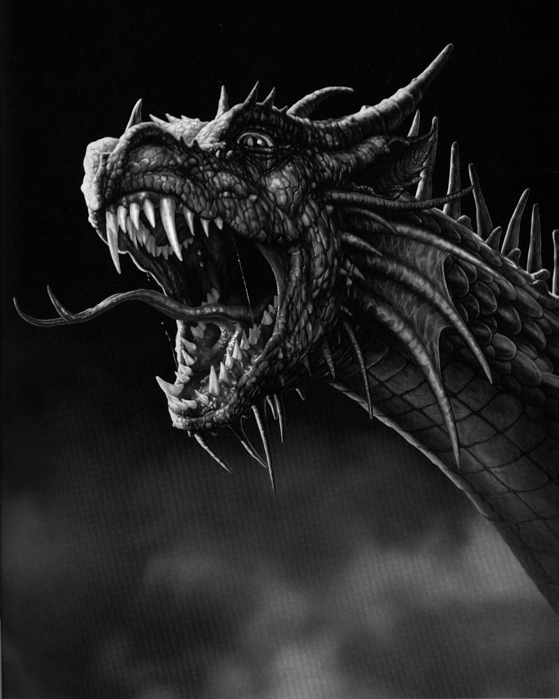 Black Dragon HD Image Wallpaper 10045